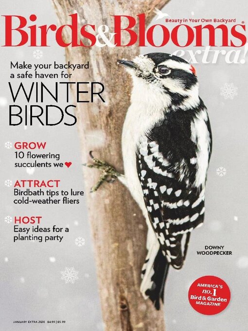 Cover image for Birds and Blooms Extra